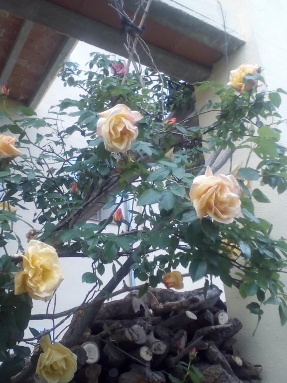 Casa Cardelina Vendégház Camporrélls Kültér fotó