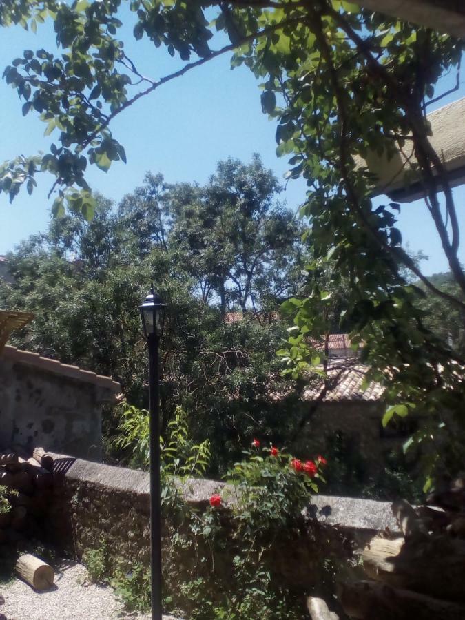 Casa Cardelina Vendégház Camporrélls Kültér fotó